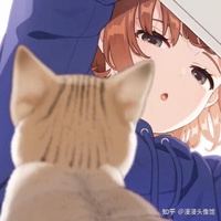 八卦小能手